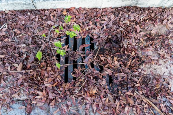 Cost of Yard Drain Unclogging in West Chester