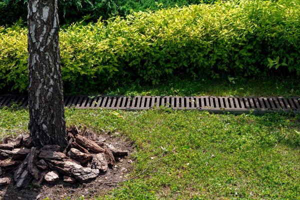 Cost of Wet Yard Drainage in West Chester